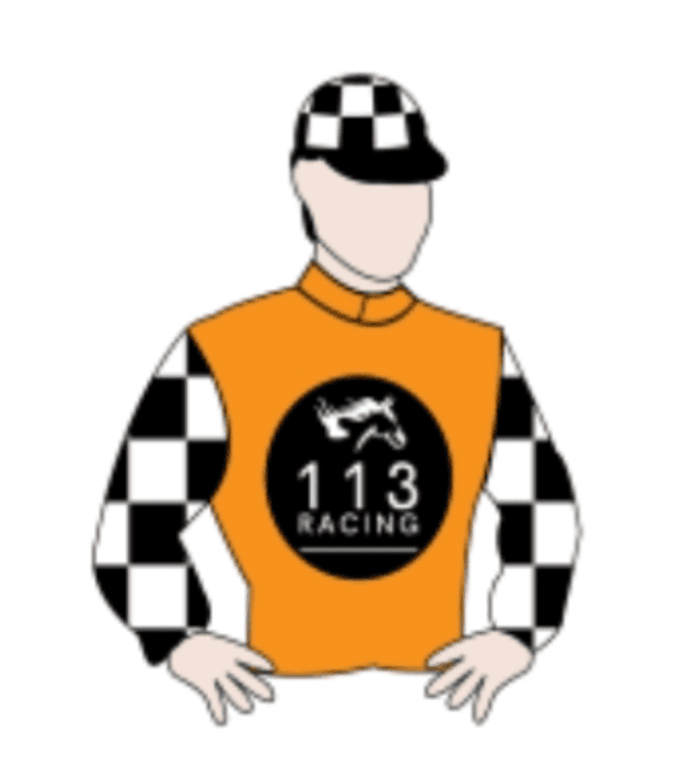 113 Racing Syndications racing silks